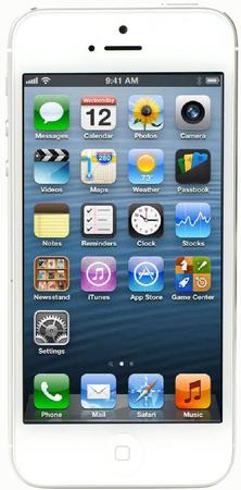 Смартфон Apple iPhone 5 32Gb White & Silver - Костомукша