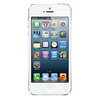 Apple iPhone 5 16Gb white - Костомукша